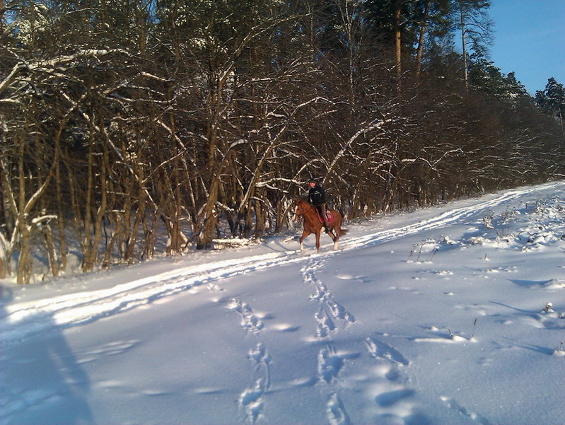 IMAG0095.jpg12.jpg"%20height="601"%20width="799